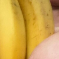 こんにちわ