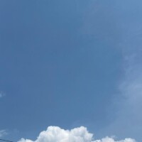 明日午前中は