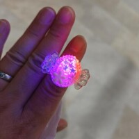 桜川【さくらがわ】