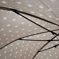 湊【みなと】