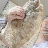 凪【なぎ】