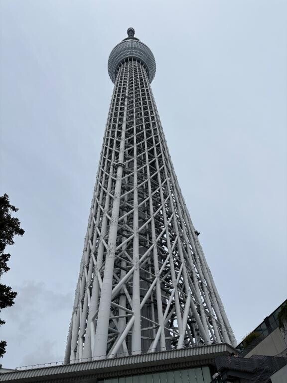 戸部ログ
