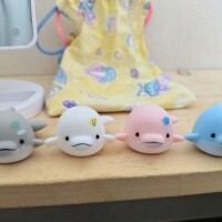 桜川【さくらがわ】
