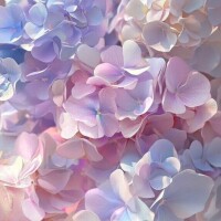 愛南【あいな】