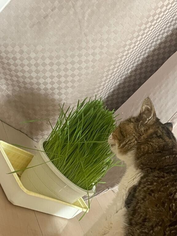 聞いて
