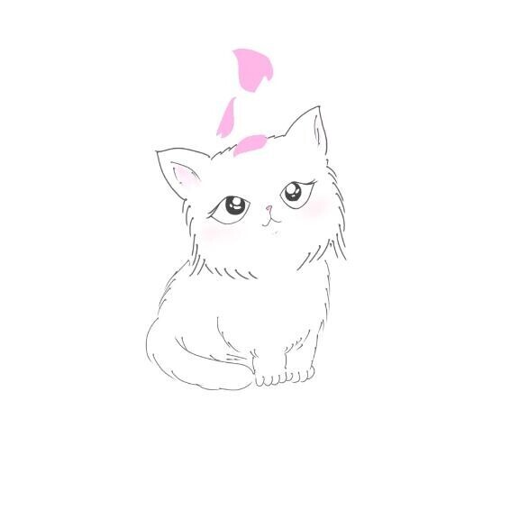 小さい(笑)