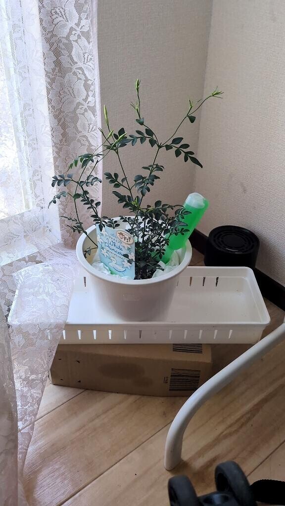 それと、ホテル情報に誤報が発生しましたm(_ _)m