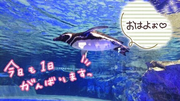 おはようございます