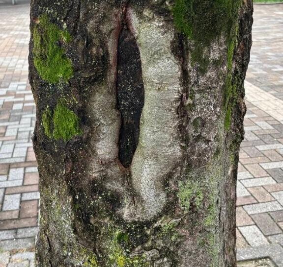 考え過ぎかな？