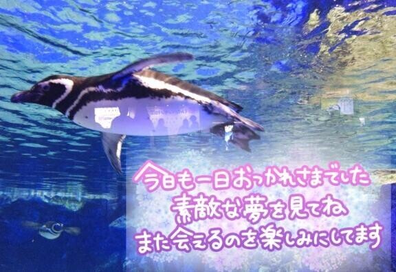 お疲れ様です