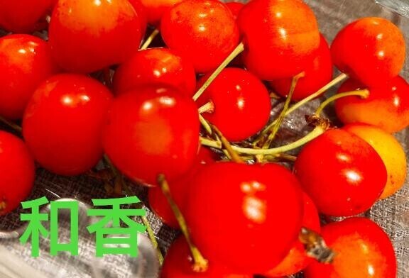 おはようございます