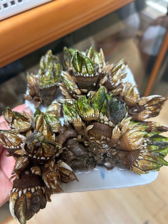 貴方の松茸ご馳走様でした