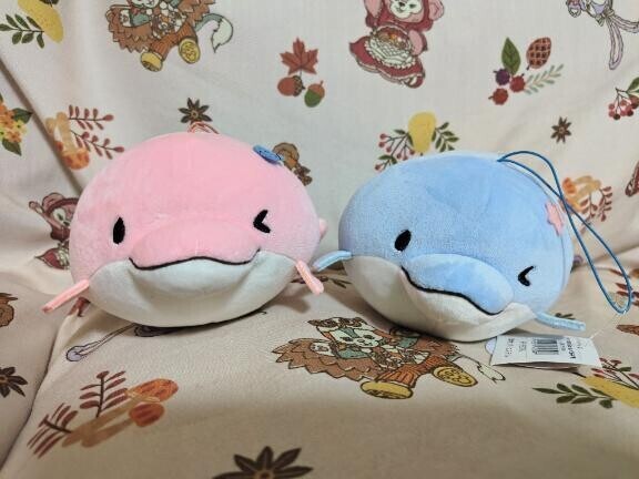癒やしキャラに登場してもらいます！