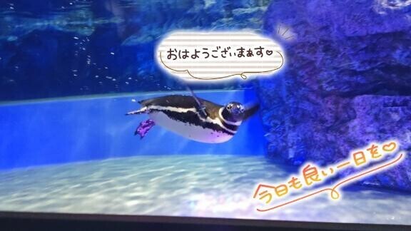 おはようございます