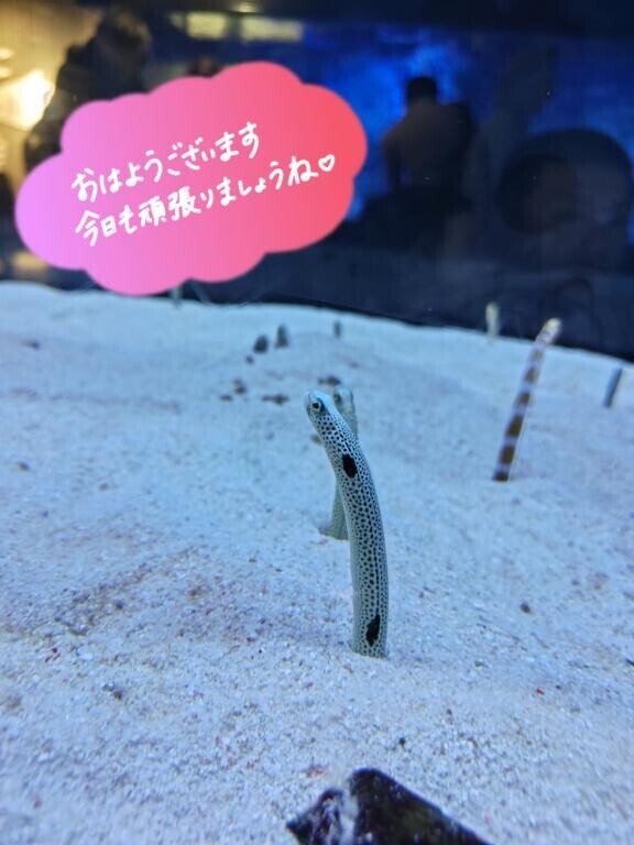 おはようございます