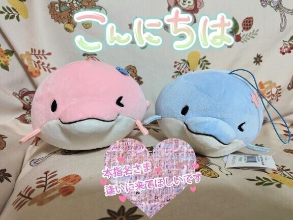 暑いですね