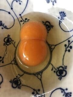 ラッキーな予感