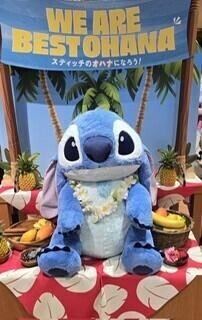 すみません