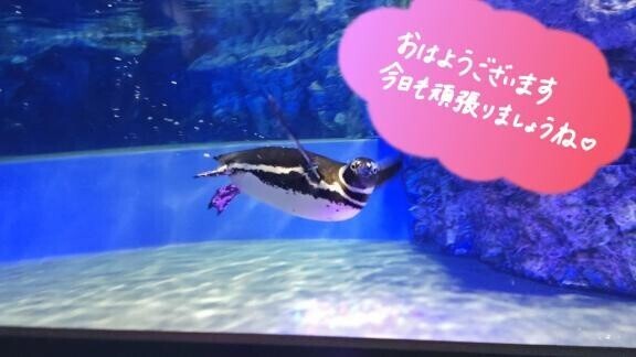 おはようございます