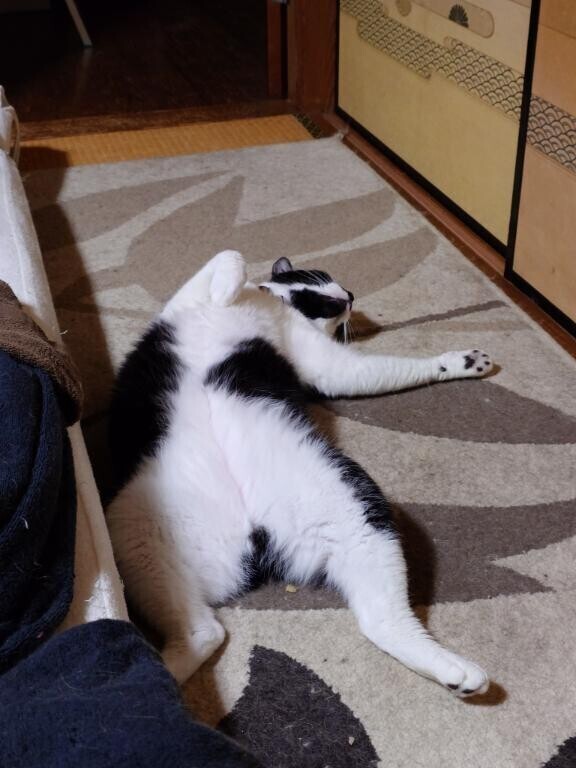 暑い