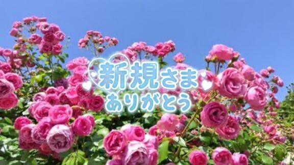 ありがとうございます
