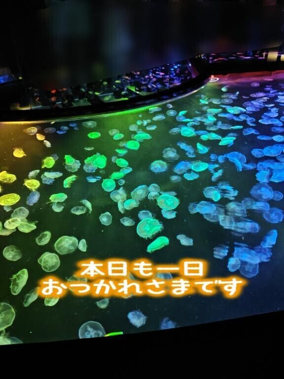 お疲れ様です