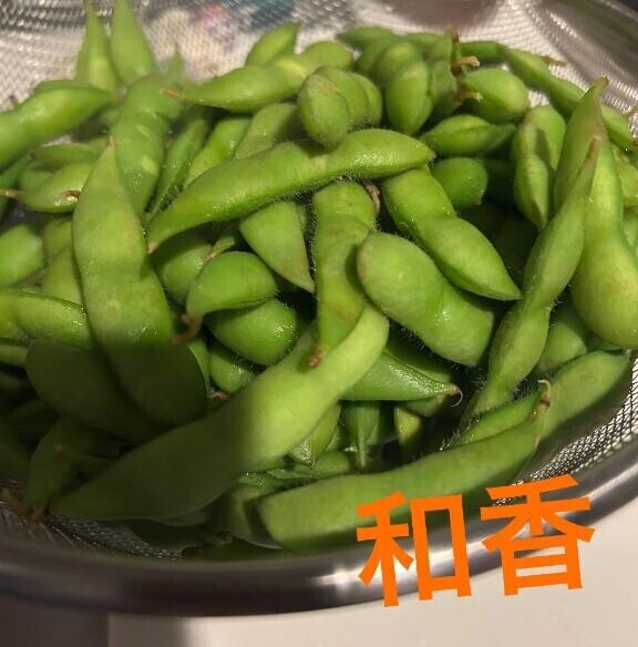 おはようございます