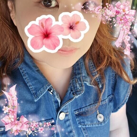 【更新】本田ちゃんのスケスケドスケベ♡スケジュール