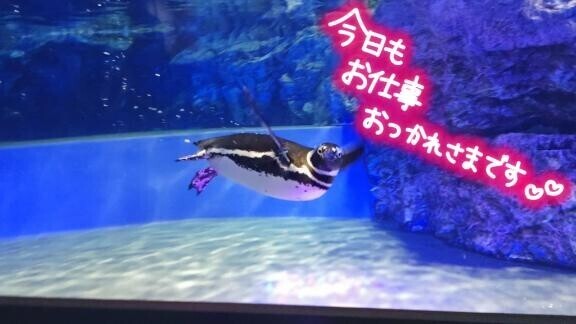 今日をお疲れ様です！