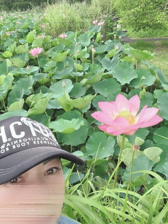近所の公園の🪷