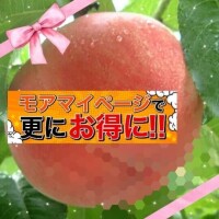 【重要】１日１回モアマイページ開いてみて