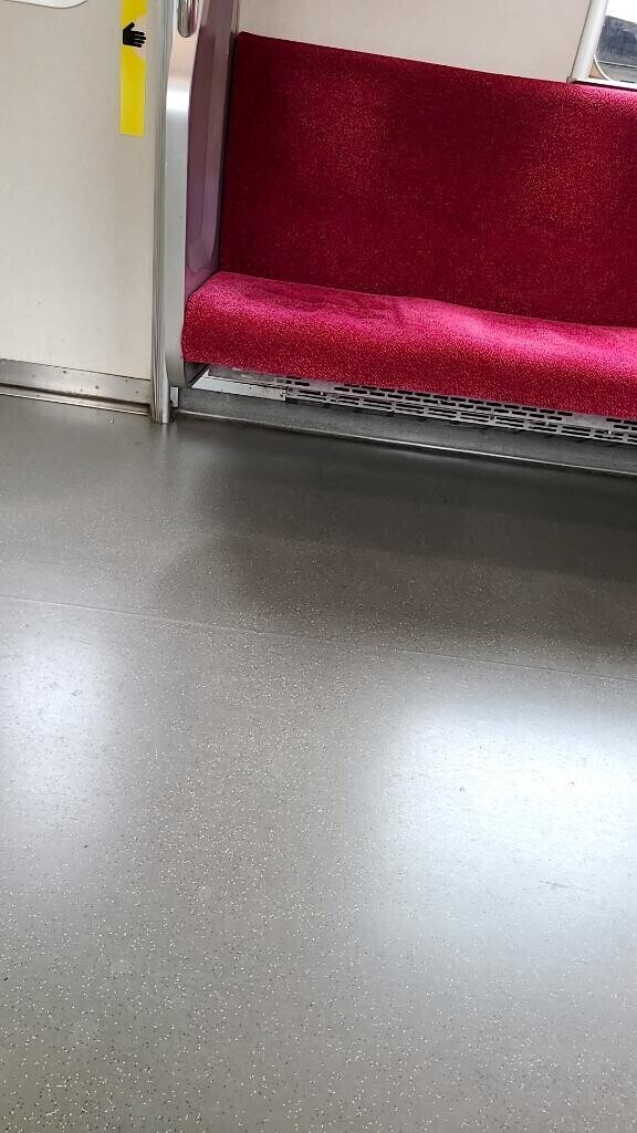 どこにいっちゃったの？