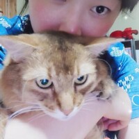 に、任務完了(*`･ω･)ゞ
