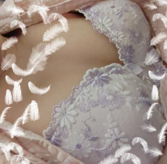 今日は紫