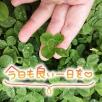 桜川【さくらがわ】