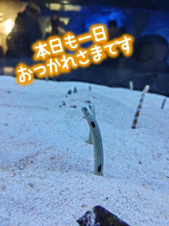 お疲れ様です