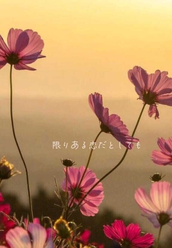 明日の出勤。。。