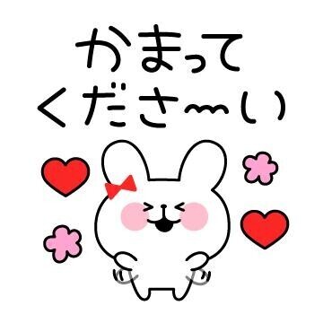 ポチ
