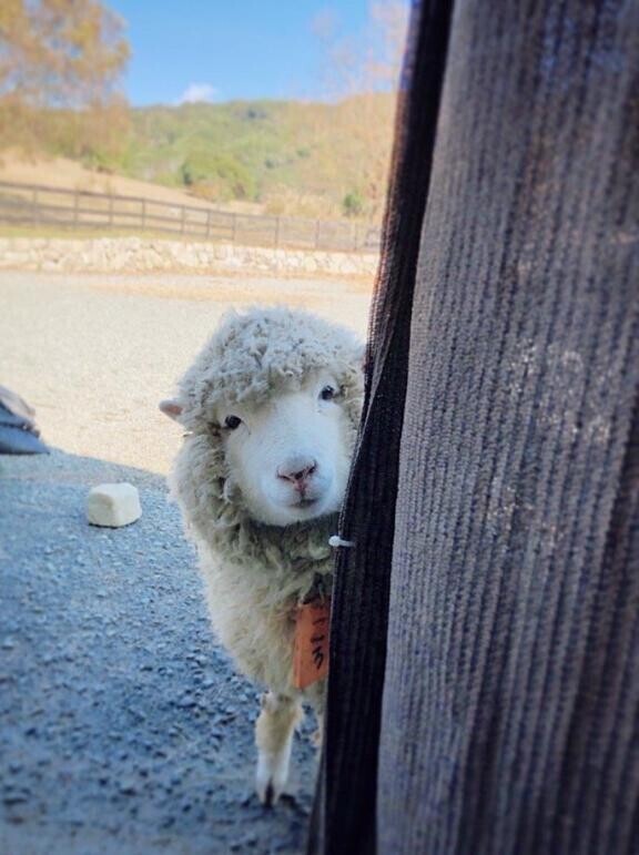 さりげなく【言葉のマジック】