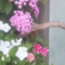 angleｶﾞｧずれたっ