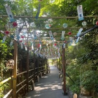 上野【うえの】