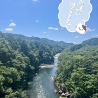 上野【うえの】