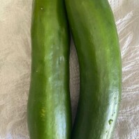 吉岡【よしおか】