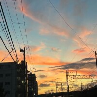 湊【みなと】