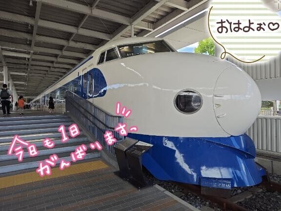おはようございます！