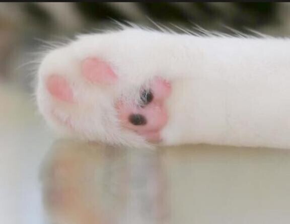 本日美容day‪☆