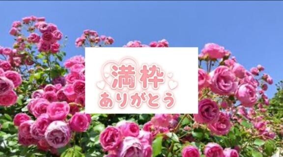 本日はありがとうございます