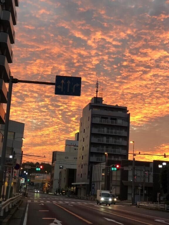 早く貴方の松茸食べたいよ
