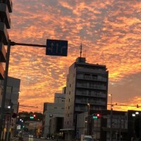 八木【やぎ】