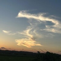 八木【やぎ】